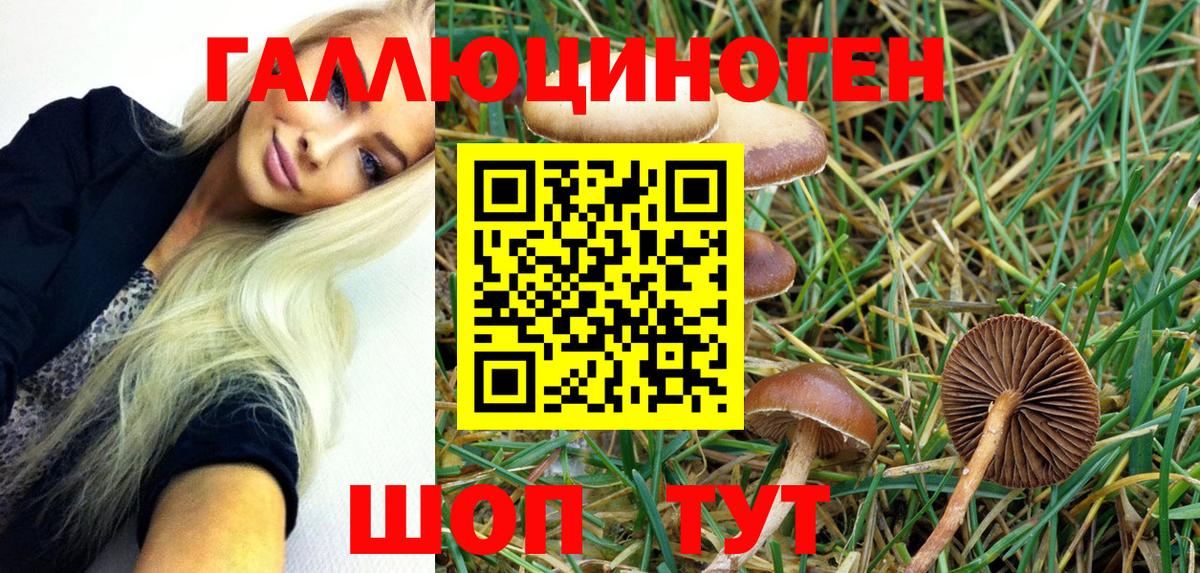Псилоцибиновые грибы MAGIC MUSHROOMS  Вход с VPN  Печора 