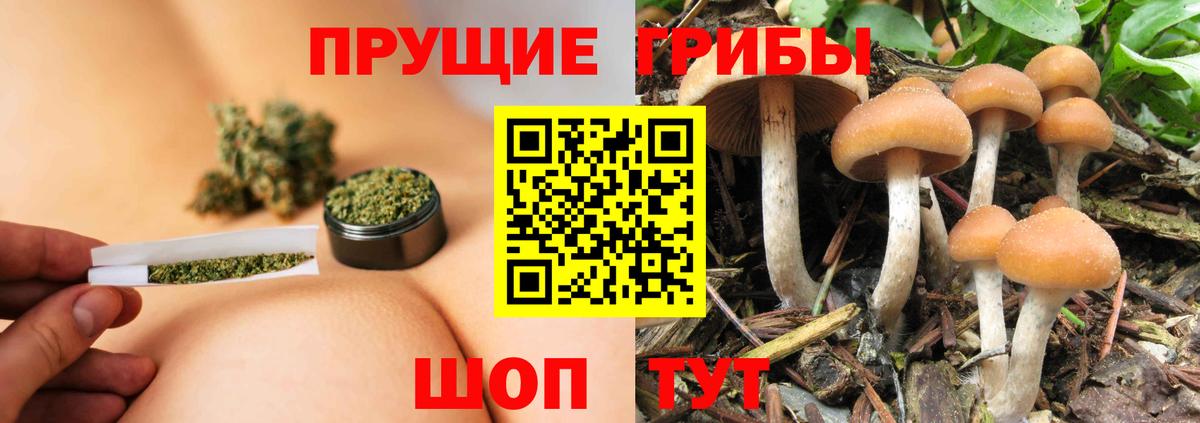 Галлюциногенные грибы Печора